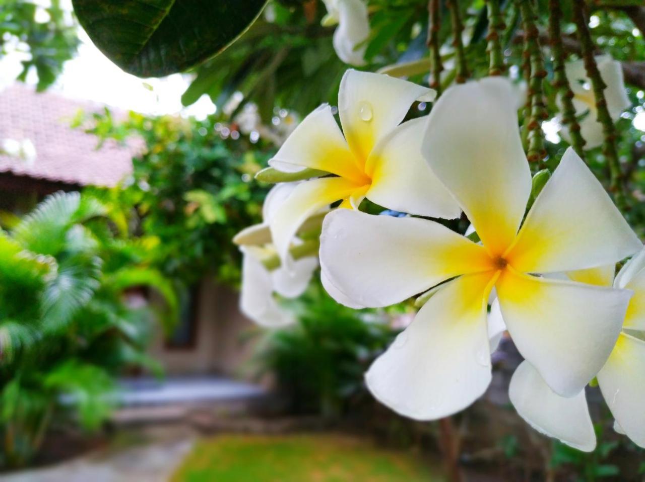 Angga Guest House بيموتيران المظهر الخارجي الصورة